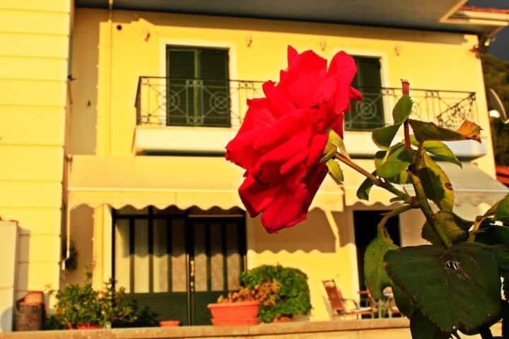 Guesthouse Bizani Neo Mpizani Dış mekan fotoğraf